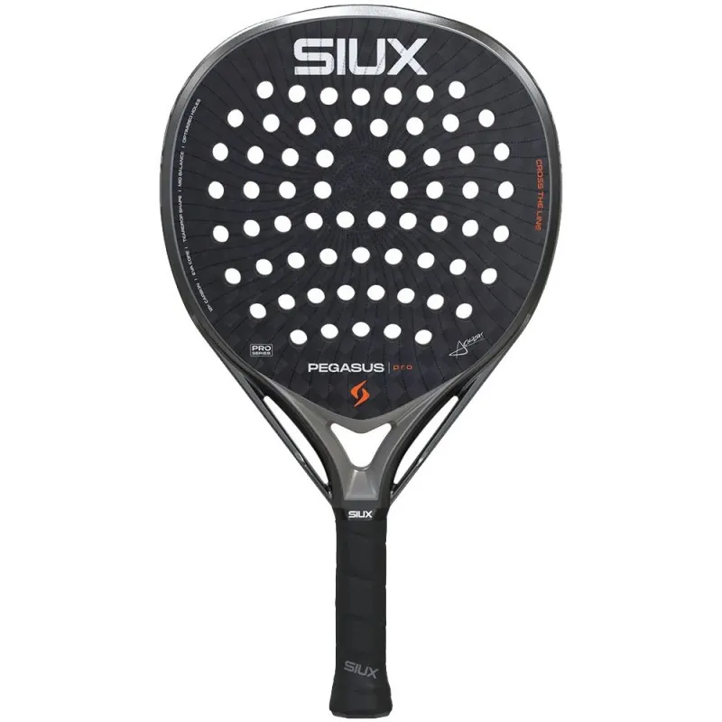 Siux Pegasus Pro 2026